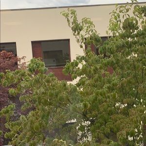 Meet your Posher, Alisa